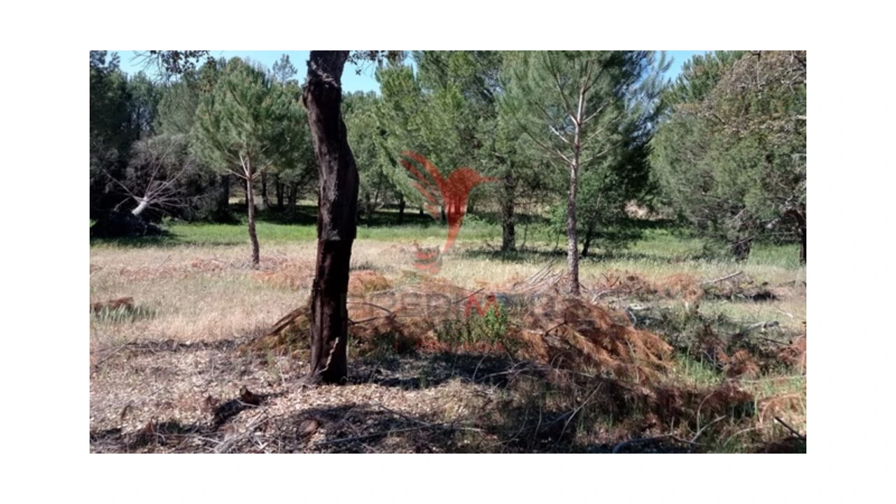 Terreno para Venda em Couço Foto 1