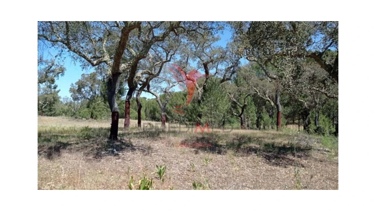 Terreno para Venda em Couço Foto 3