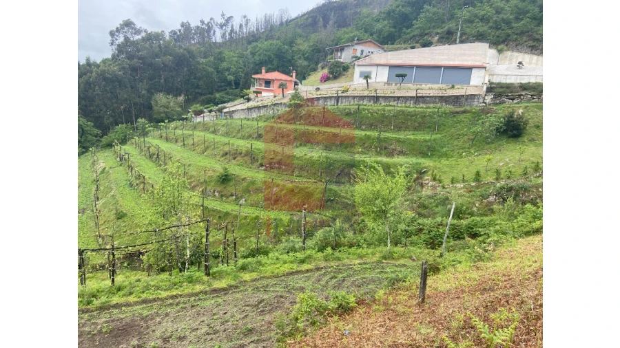 Terreno para Venda em Sande, Vilarinho, Barros e Gomide Foto 3