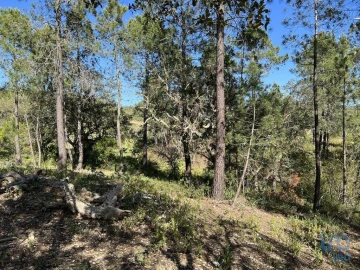 Terreno para Venda em Querença, Tôr e Benafim
