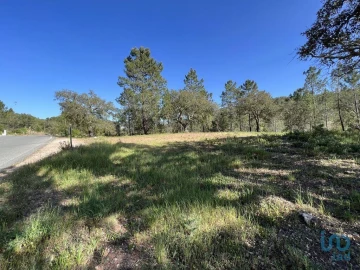 Terreno para Venda em Querença, Tôr e Benafim