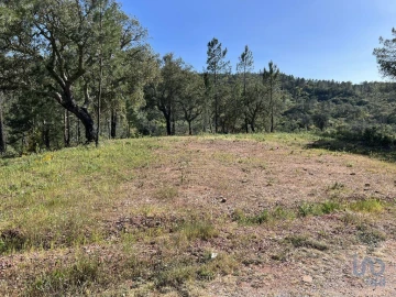 Terreno para Venda em Querença, Tôr e Benafim