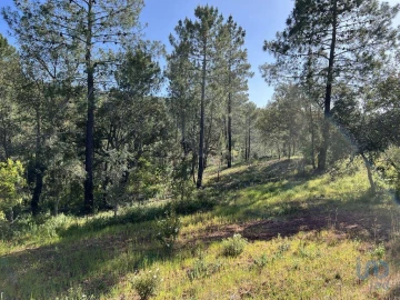 Terreno para Venda em Querença, Tôr e Benafim