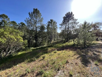 Terreno para Venda em Querença, Tôr e Benafim