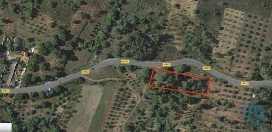 Terreno para Venda em Querença, Tôr e Benafim