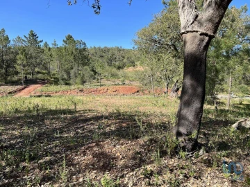 Terreno para Venda em Querença, Tôr e Benafim