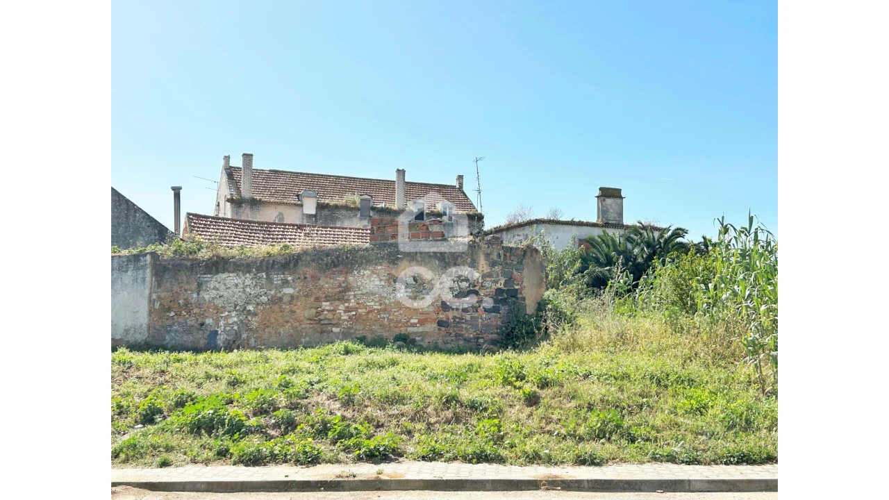Terreno para Venda em Amora Foto 5