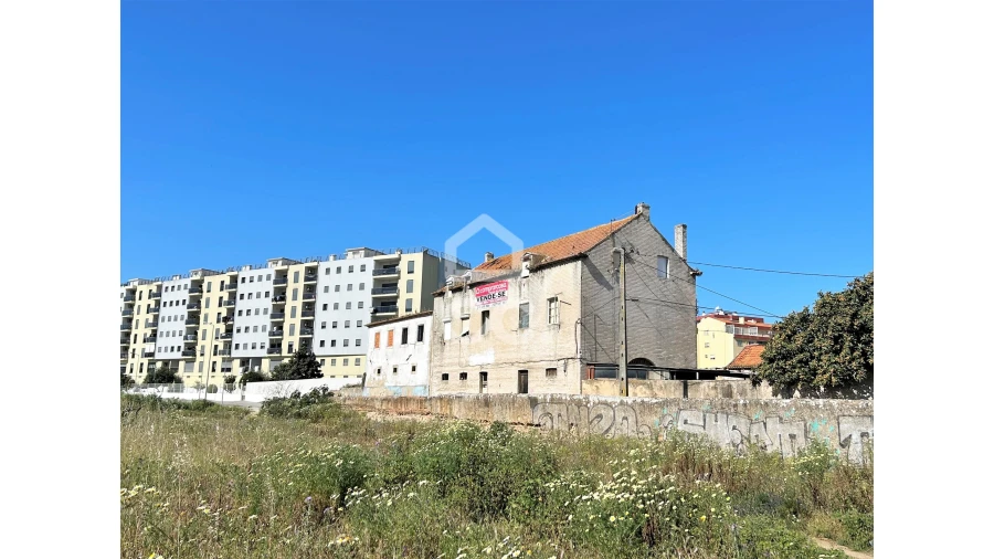 Terreno para Venda em Amora Foto 4