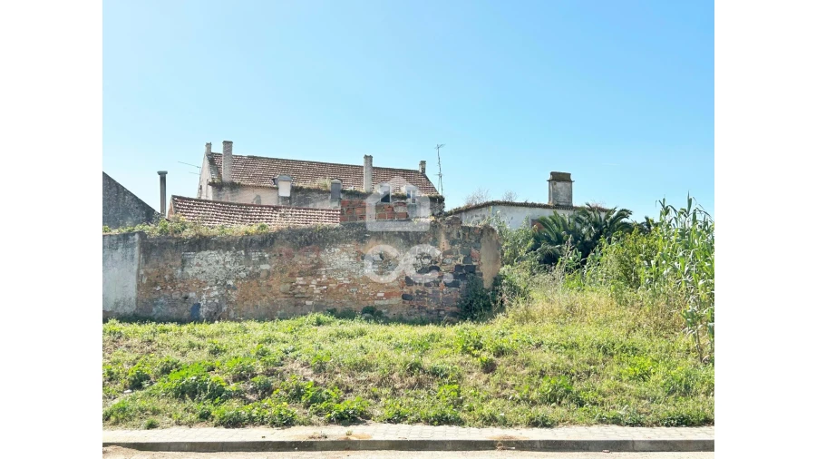 Terreno para Venda em Amora Foto 5