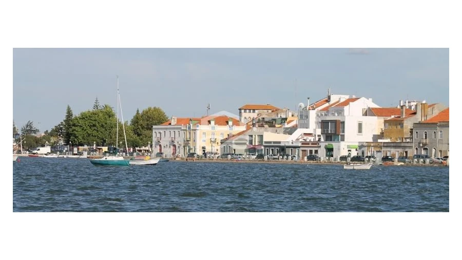 Terreno para Venda em Amora Foto 7