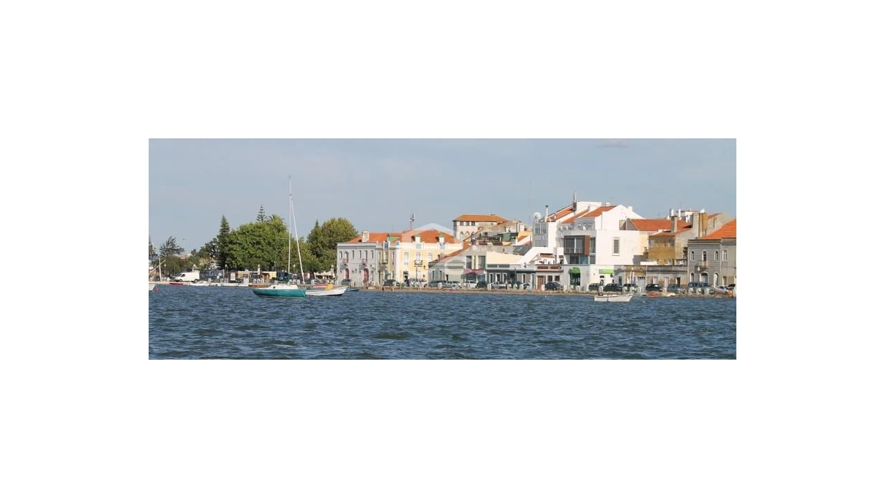 Terreno para Venda em Amora Foto 7