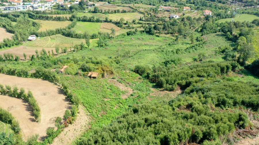 Quinta T0 para Venda em Infantas Foto 4