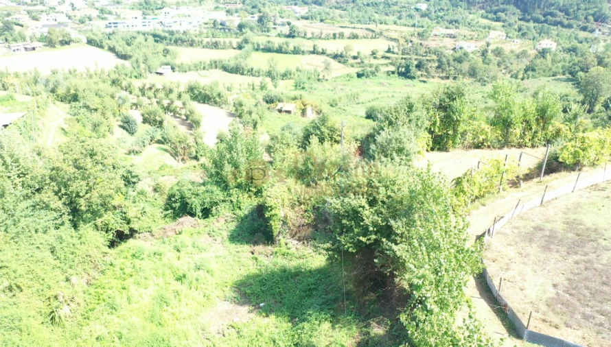 Quinta T0 para Venda em Infantas Foto 7