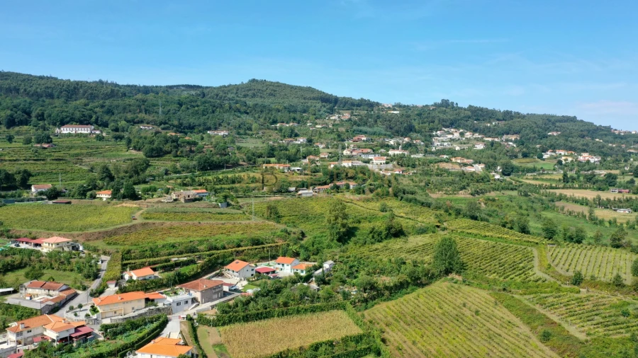 Quinta T0 para Venda em Infantas Foto 3