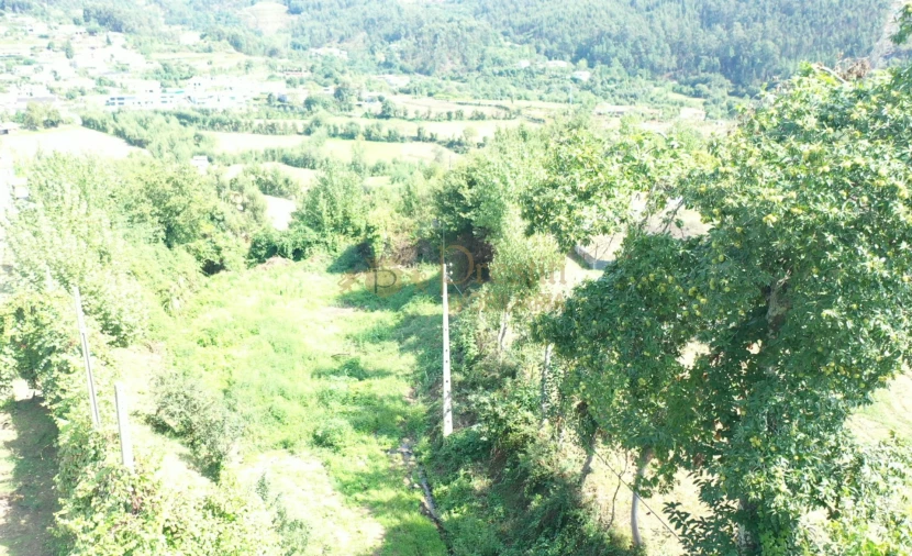 Quinta T0 para Venda em Infantas Foto 6