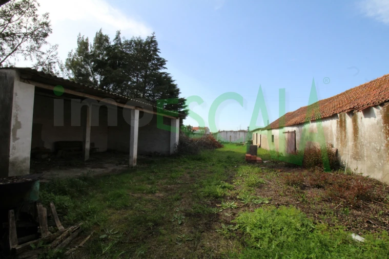 Armazém para Venda em Manique do Intendente, Vila Nova de São Pedro e Maçussa Foto 8