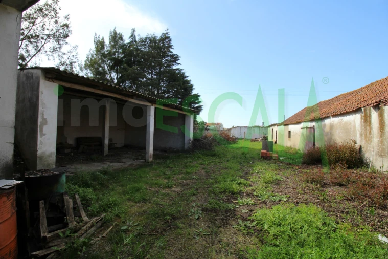 Armazém para Venda em Manique do Intendente, Vila Nova de São Pedro e Maçussa Foto 11