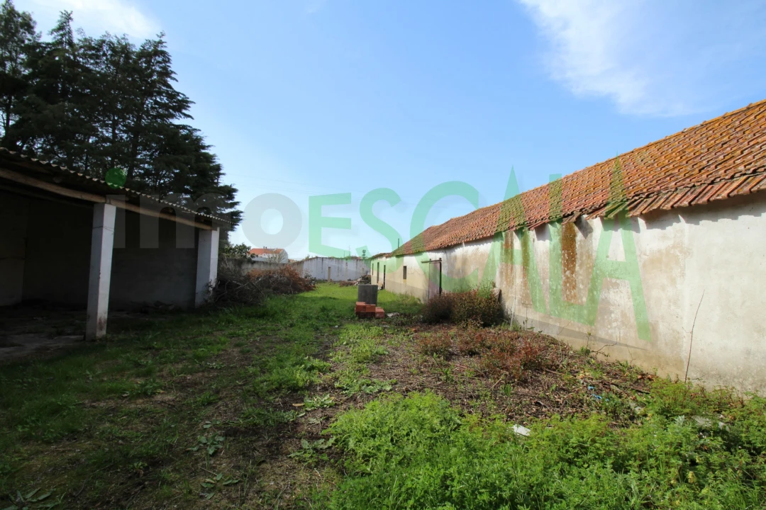 Armazém para Venda em Manique do Intendente, Vila Nova de São Pedro e Maçussa Foto 9