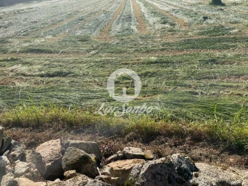 Terreno para Venda em Rio Mau e Arcos