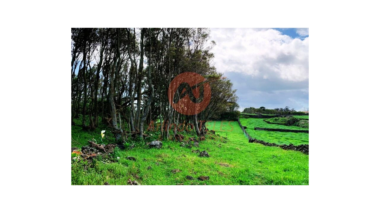 Terreno para Venda em São Bras Foto 14