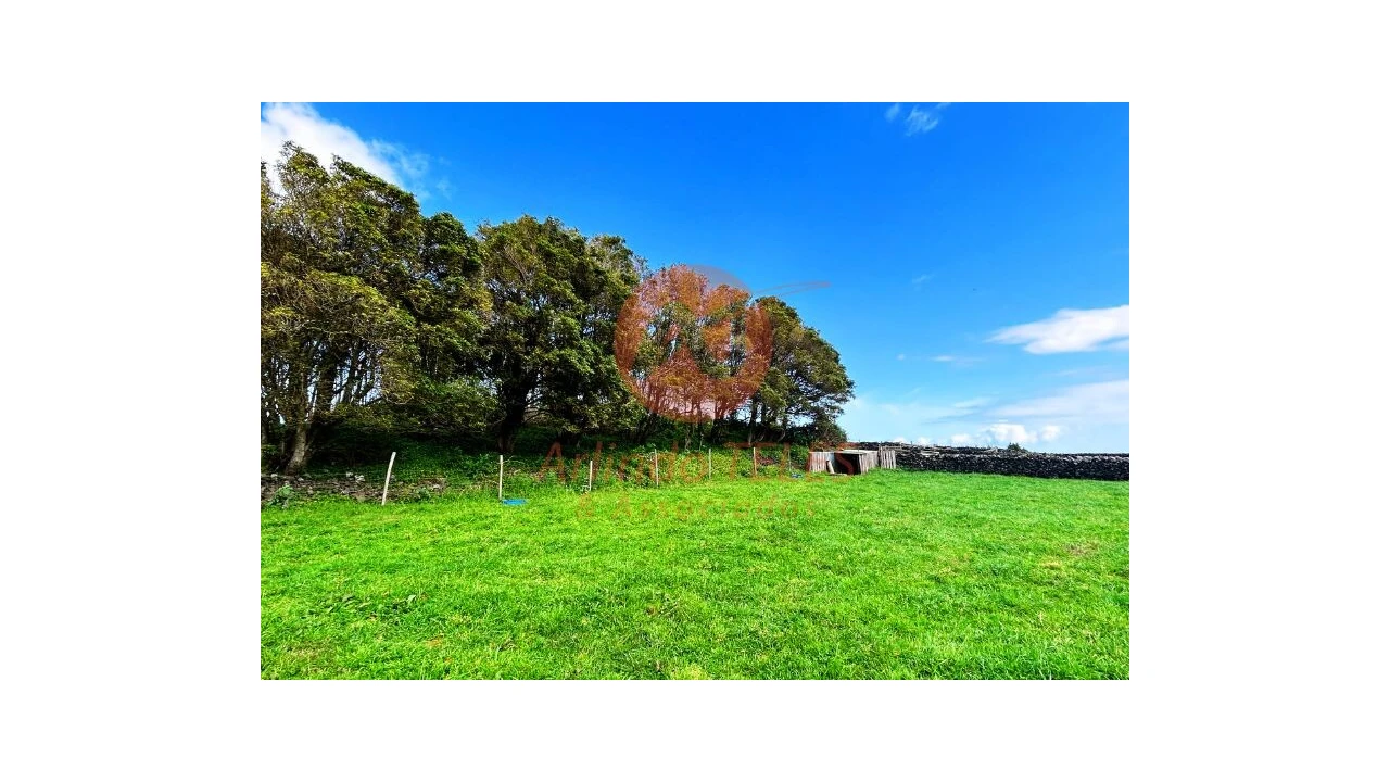 Terreno para Venda em São Bras Foto 20