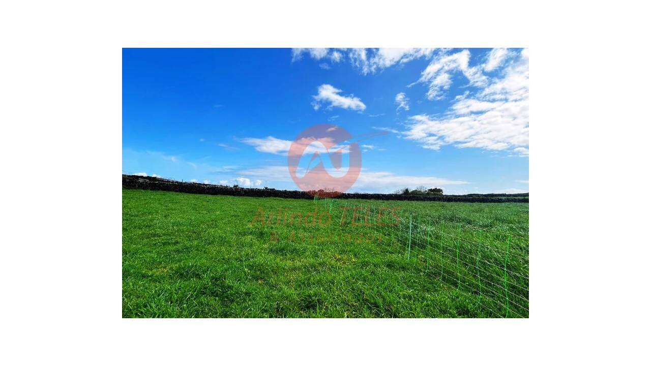 Terreno para Venda em São Bras Foto 32
