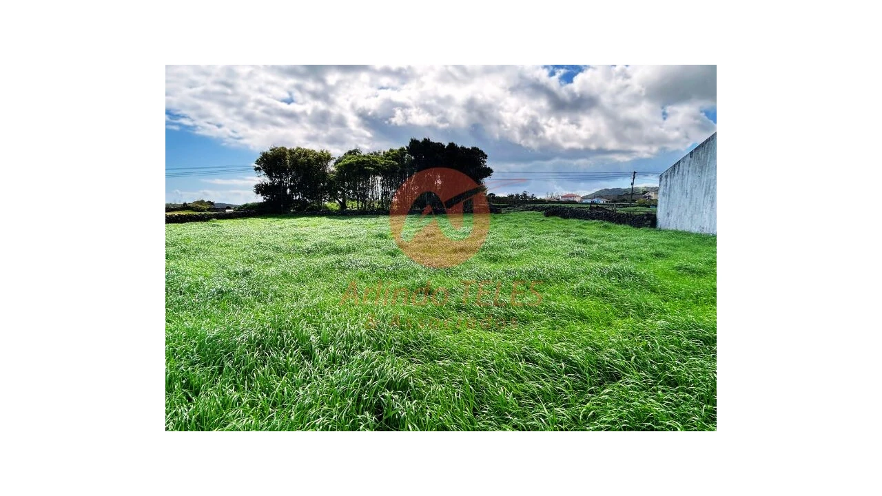 Terreno para Venda em São Bras Foto 12