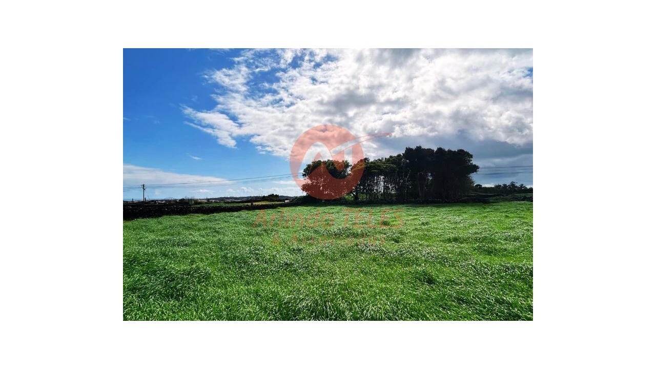 Terreno para Venda em São Bras Foto 11