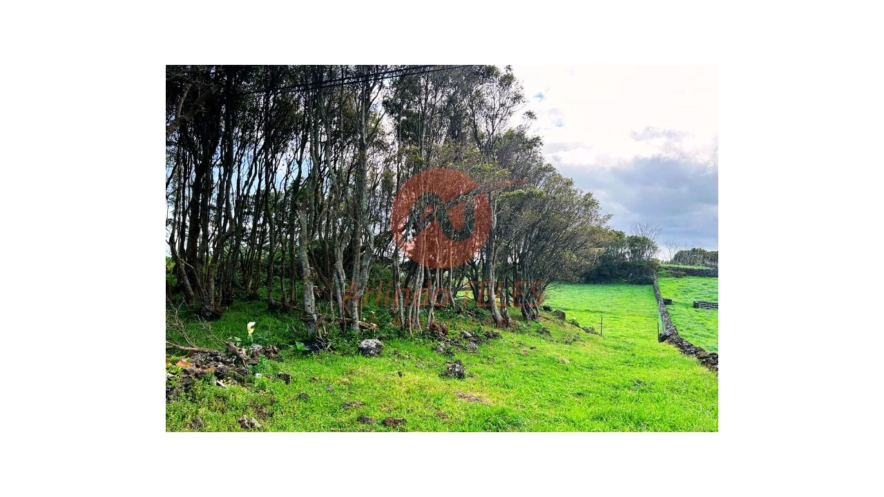 Terreno para Venda em São Bras Foto 17