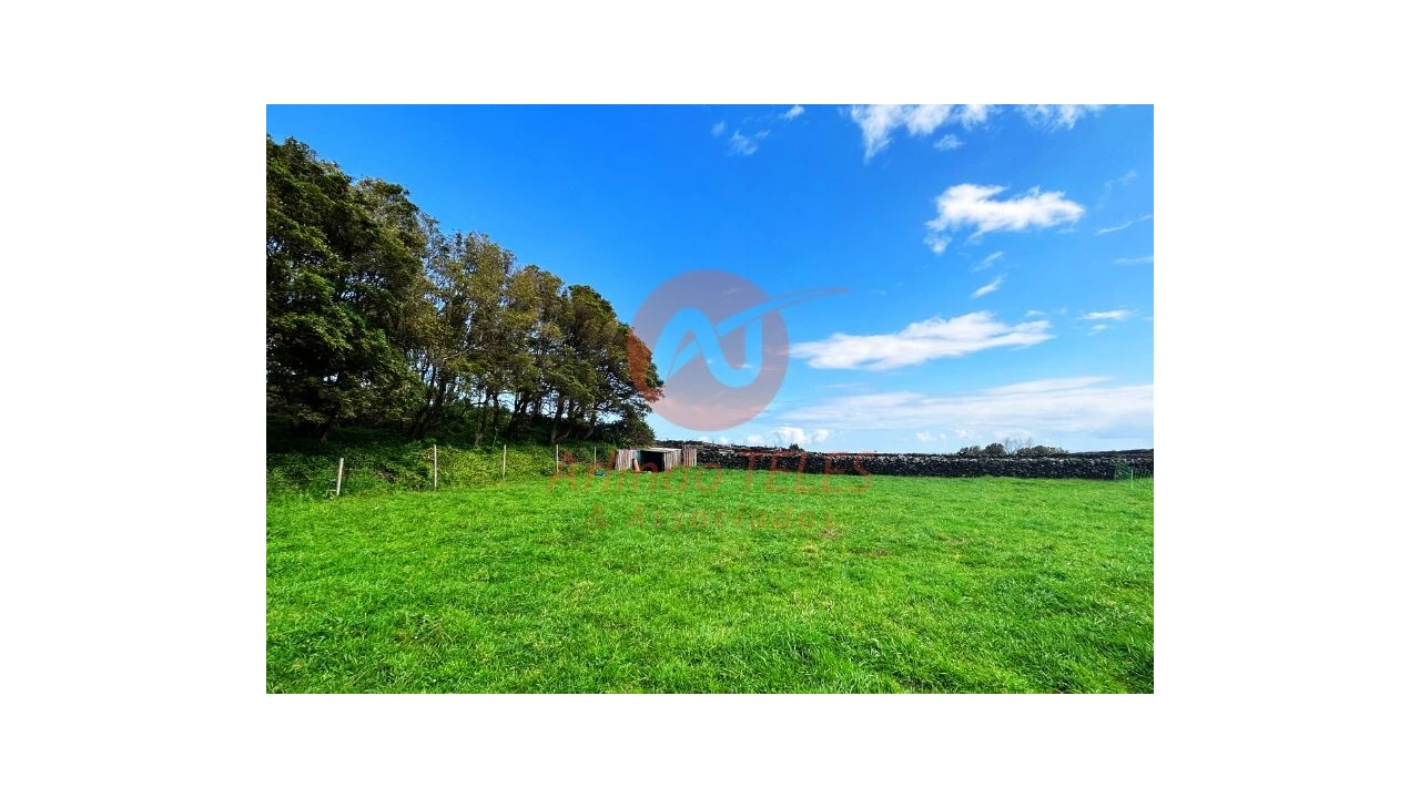 Terreno para Venda em São Bras Foto 23