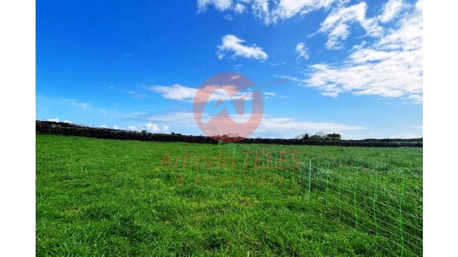 Terreno para Venda em São Bras Foto 32