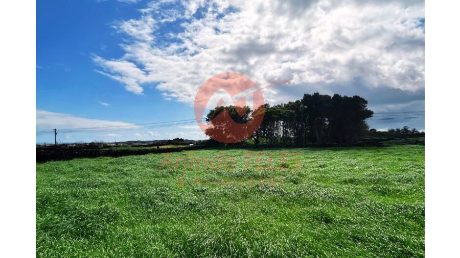 Terreno para Venda em São Bras Foto 11