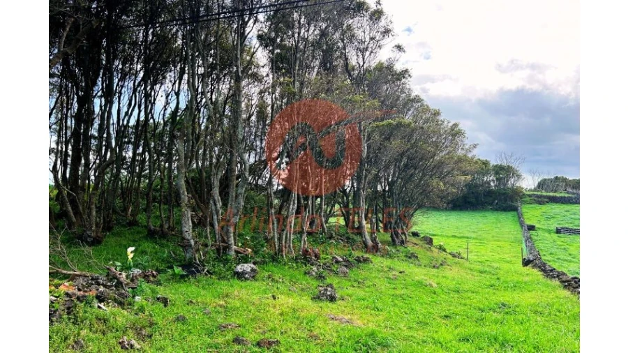 Terreno para Venda em São Bras Foto 17