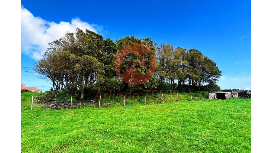 Terreno para Venda em São Bras Foto 19