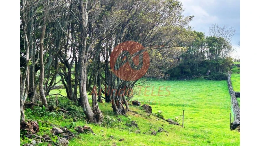 Terreno para Venda em São Bras Foto 27