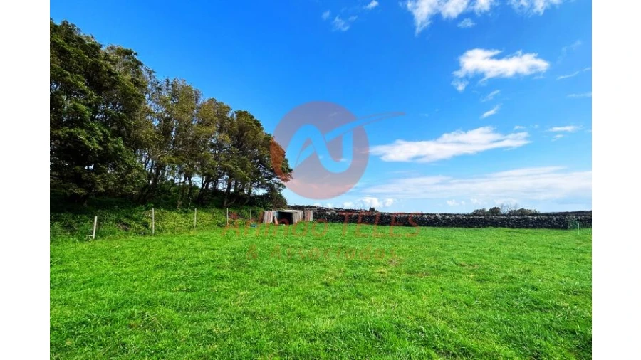 Terreno para Venda em São Bras Foto 23