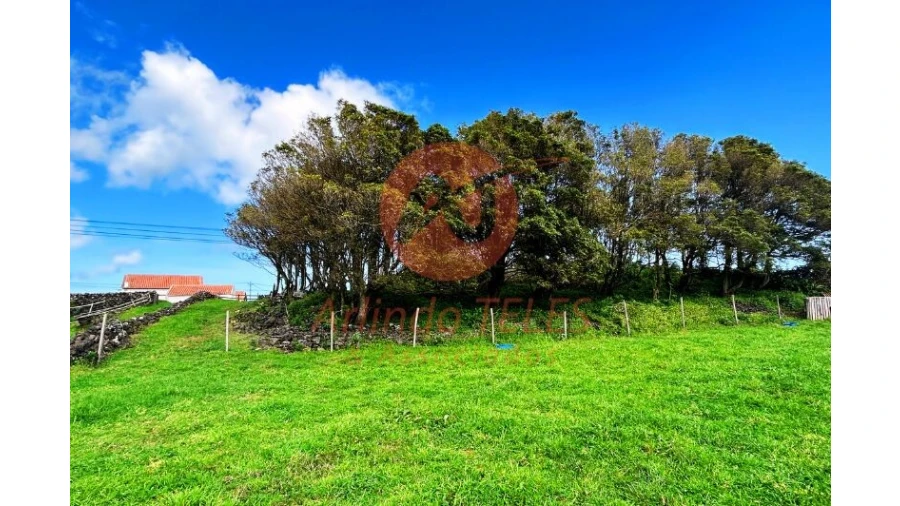 Terreno para Venda em São Bras Foto 24