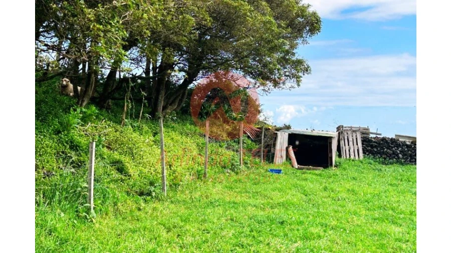 Terreno para Venda em São Bras Foto 25