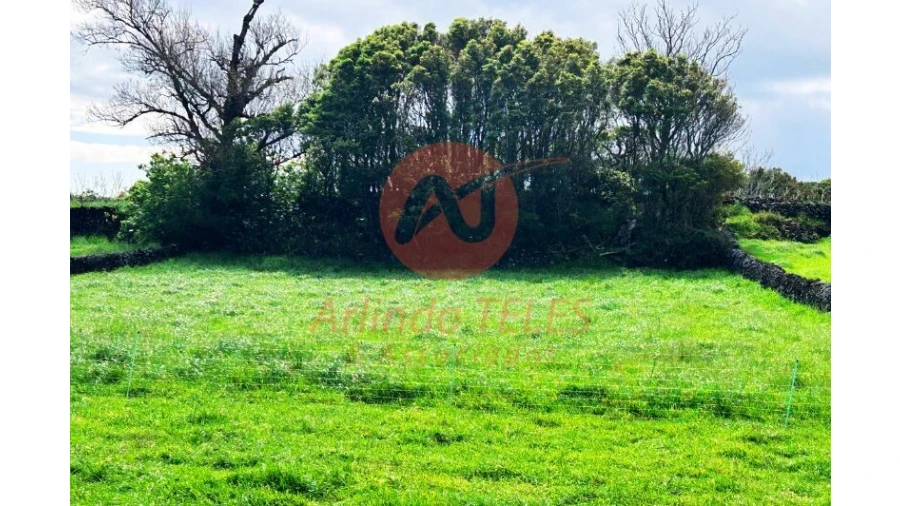 Terreno para Venda em São Bras Foto 13