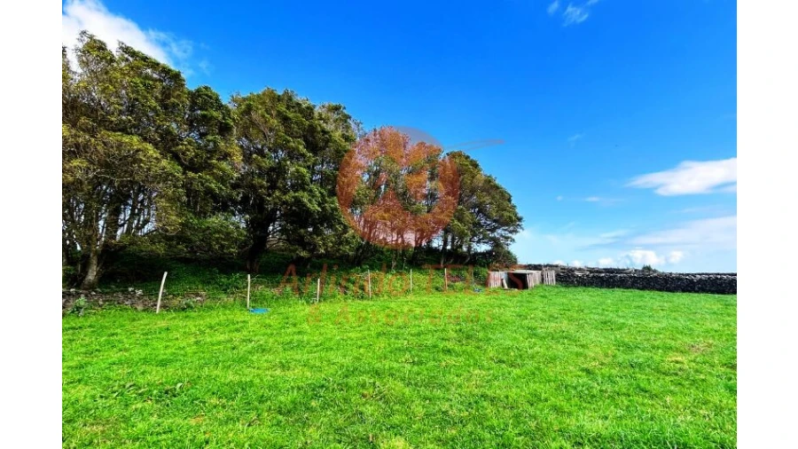 Terreno para Venda em São Bras Foto 21