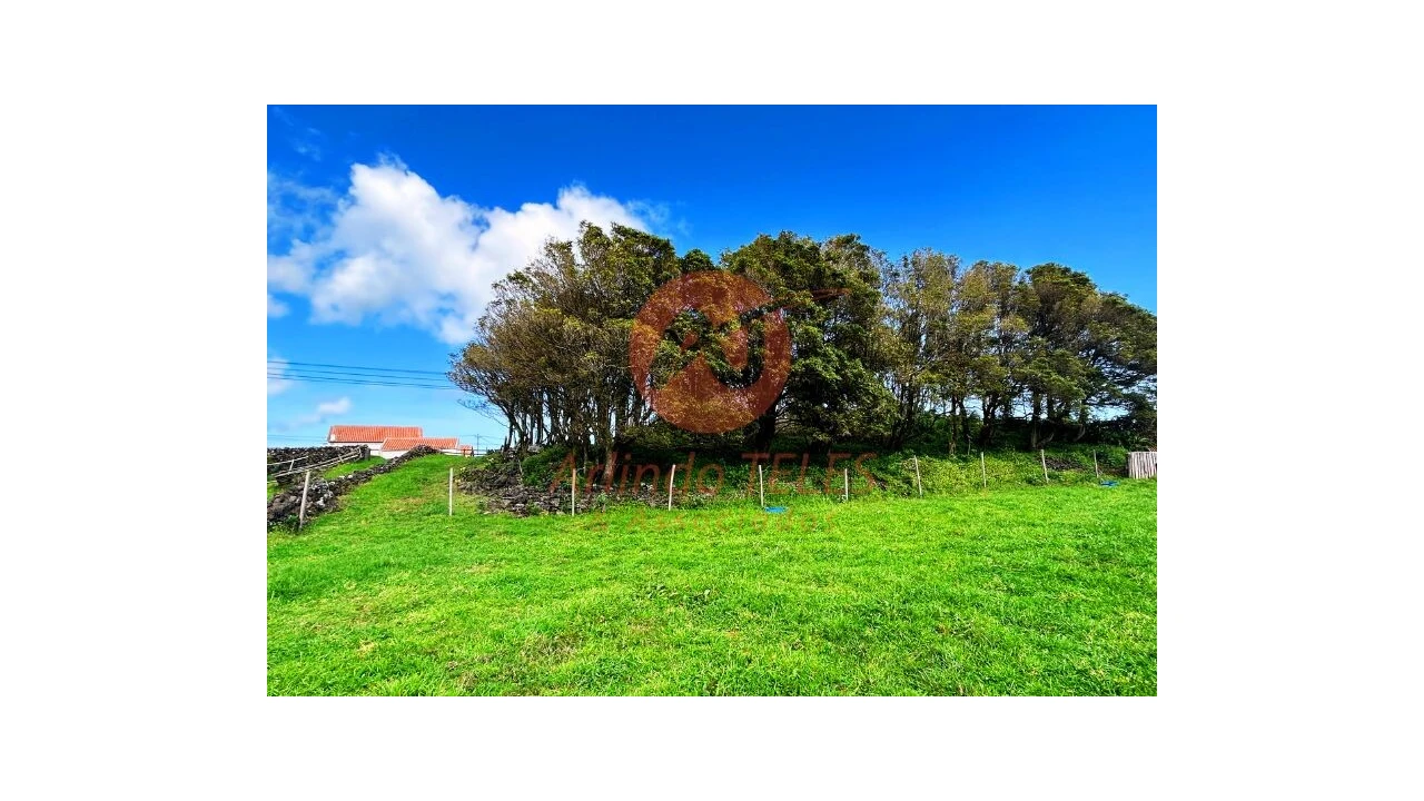 Terreno para Venda em São Bras Foto 24