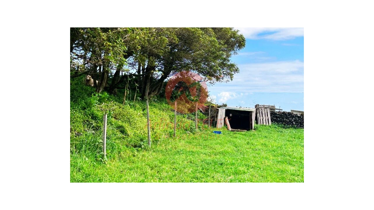 Terreno para Venda em São Bras Foto 25
