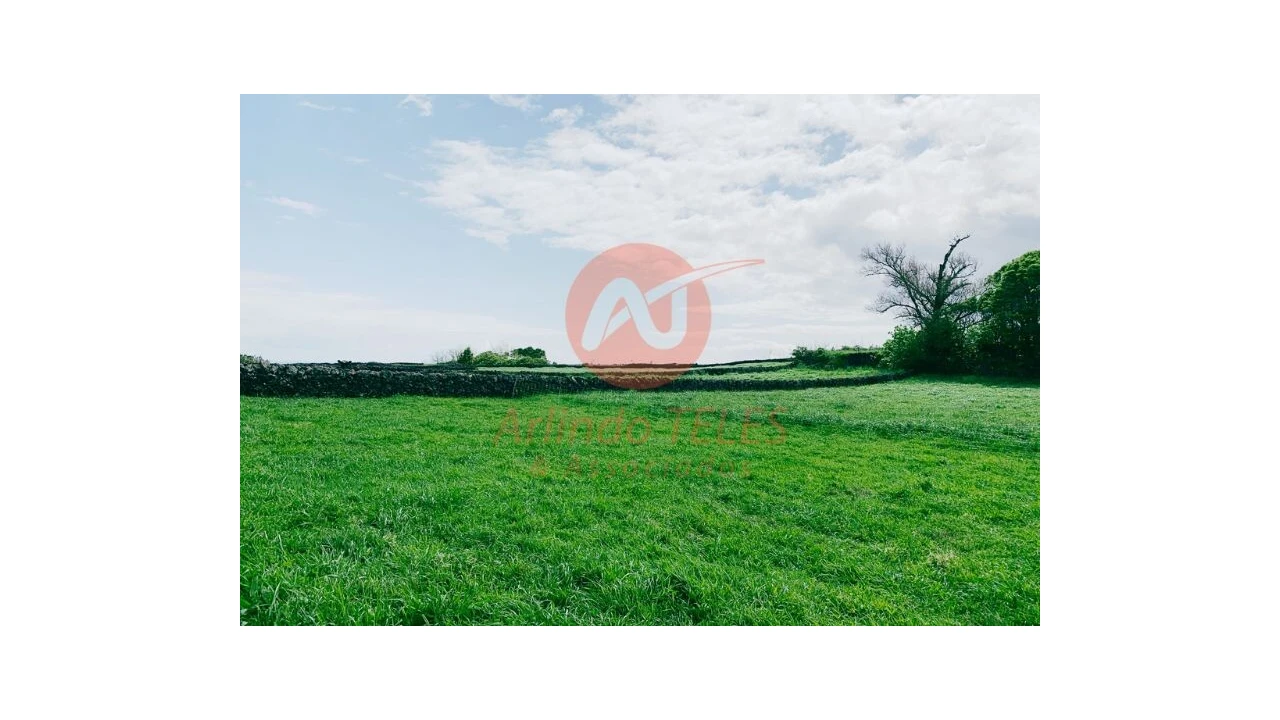 Terreno para Venda em São Bras Foto 5
