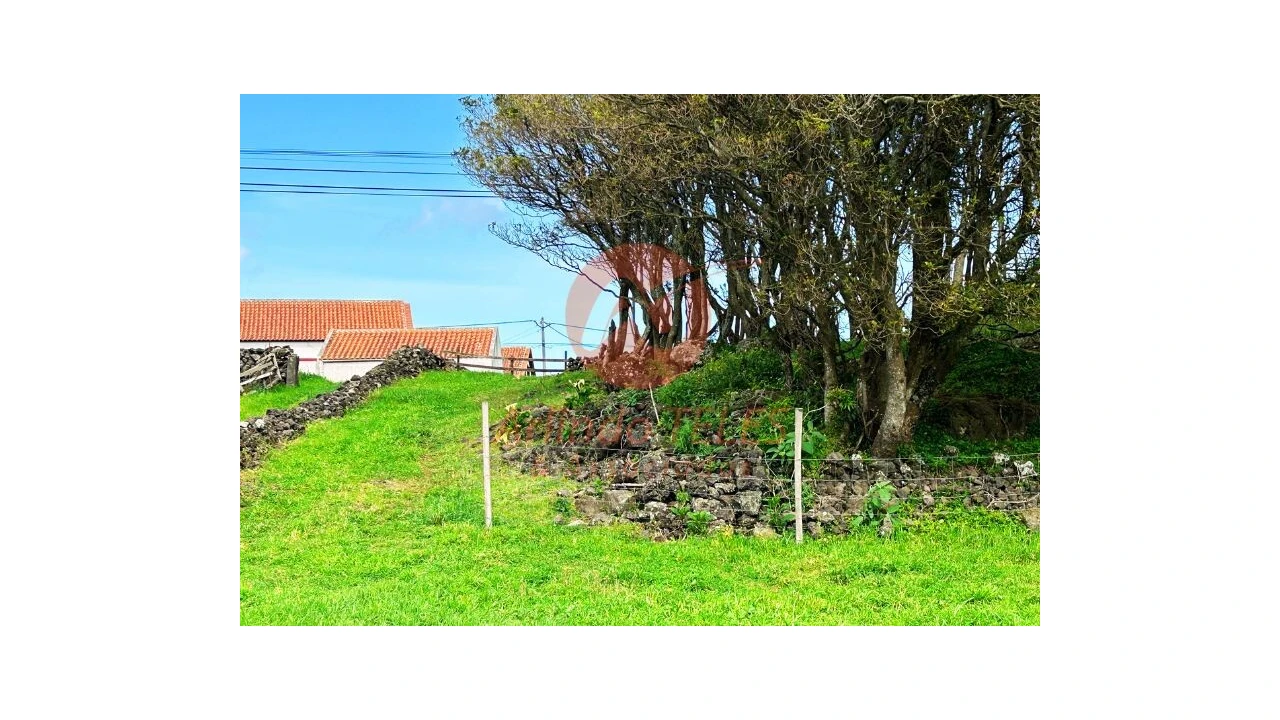 Terreno para Venda em São Bras Foto 22