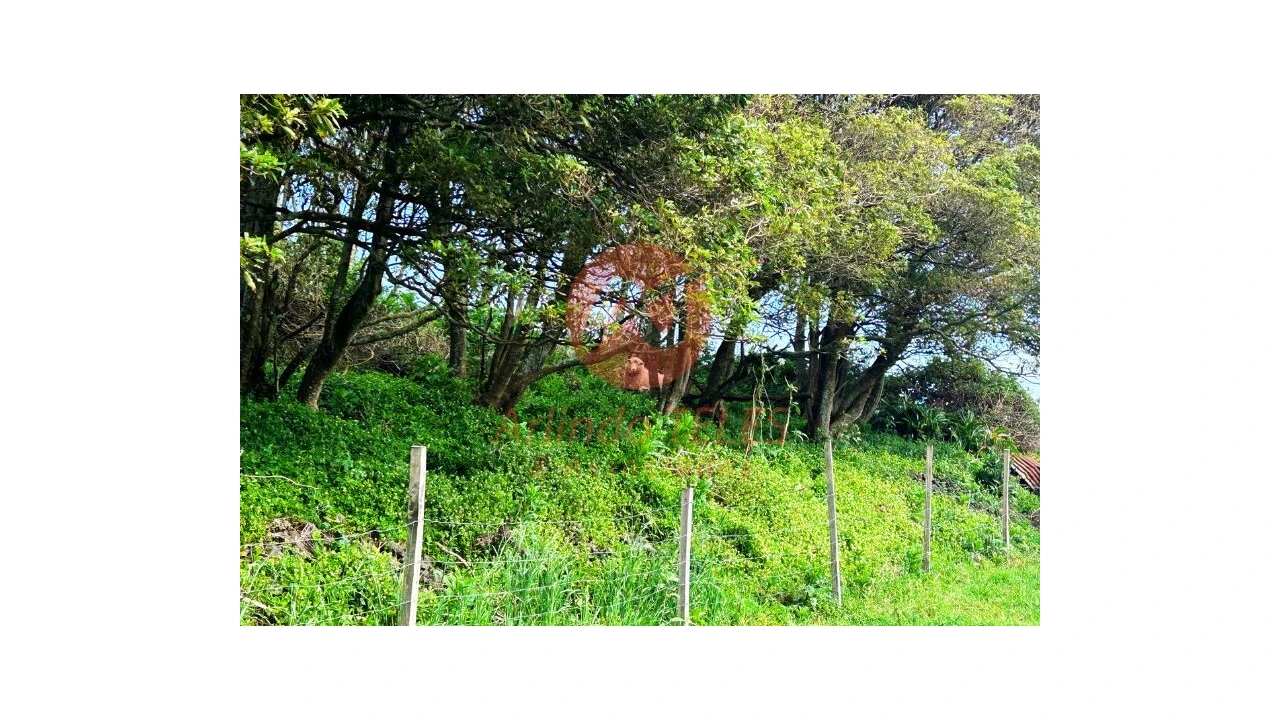 Terreno para Venda em São Bras Foto 26