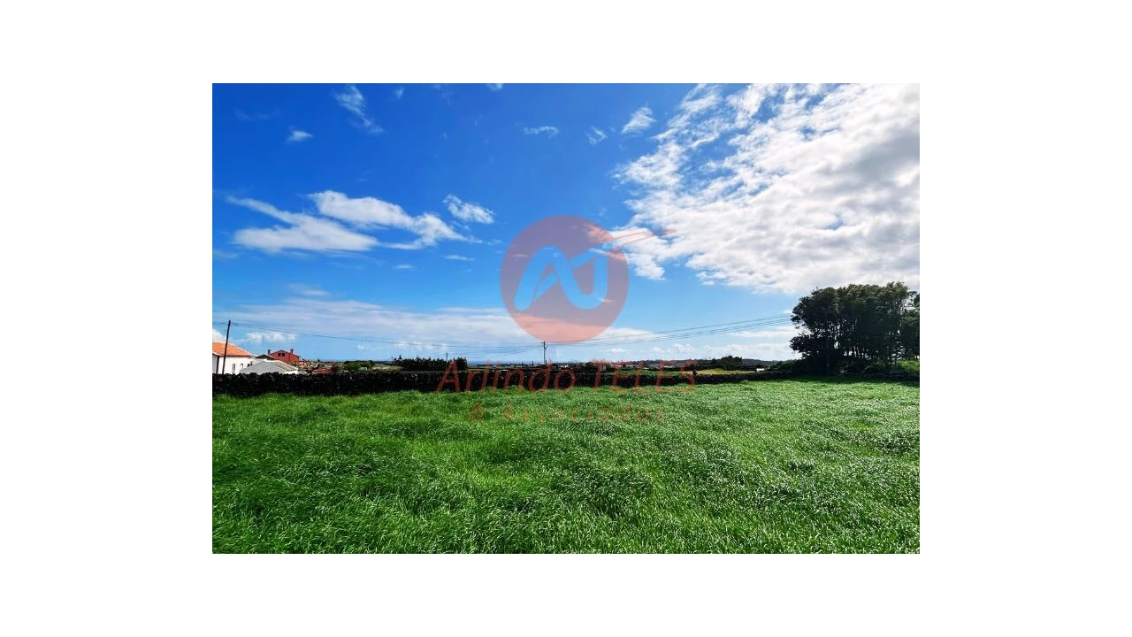 Terreno para Venda em São Bras Foto 8