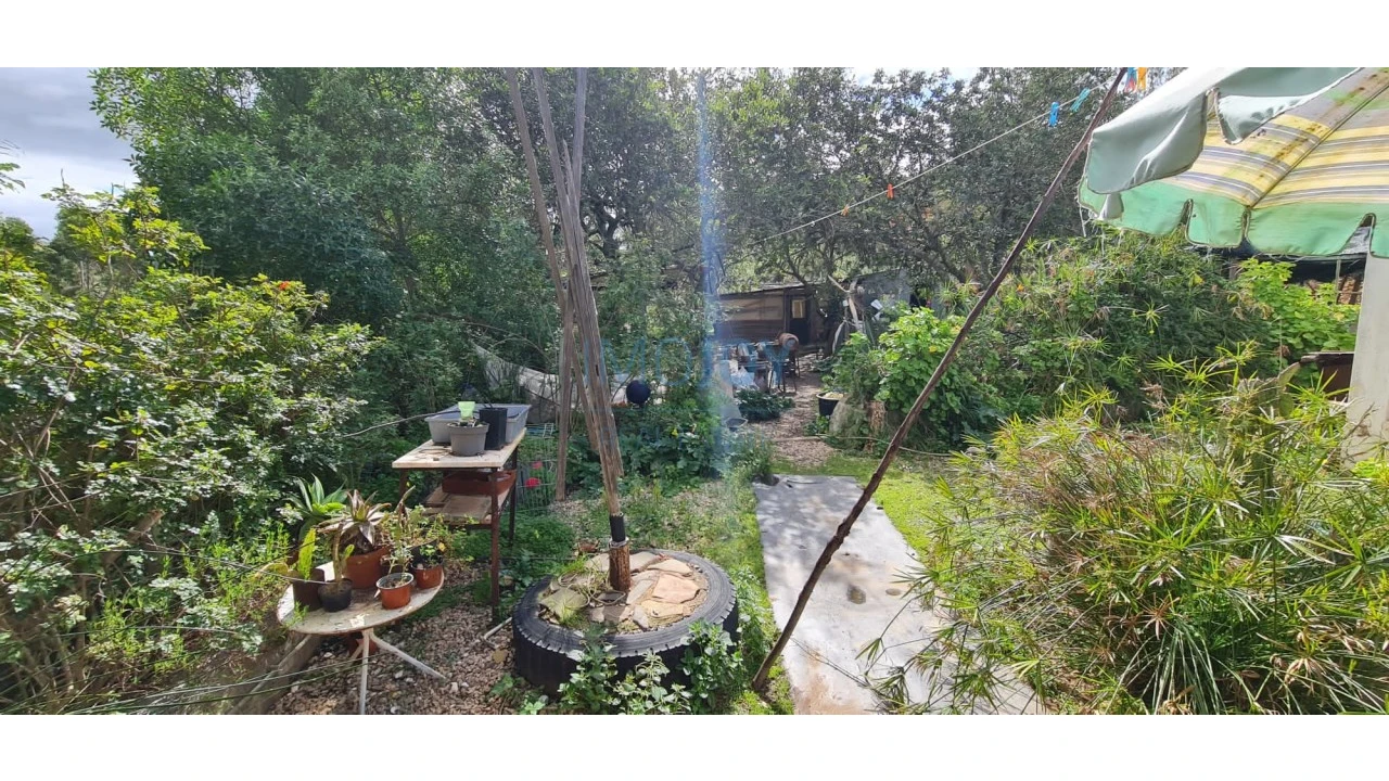 Quinta T3 para Venda em Silves Foto 38