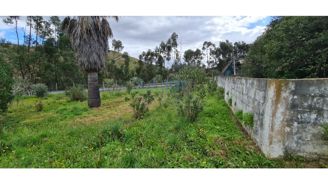 Quinta T3 para Venda em Silves Foto 50