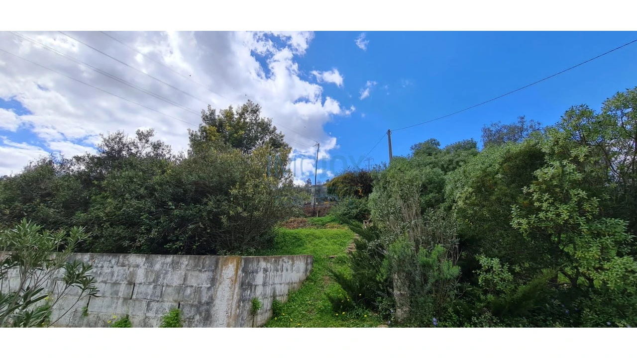 Quinta T3 para Venda em Silves Foto 51