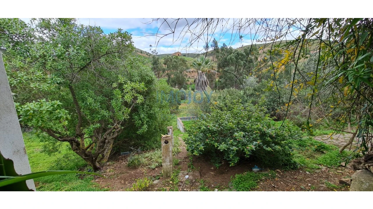 Quinta T3 para Venda em Silves Foto 53